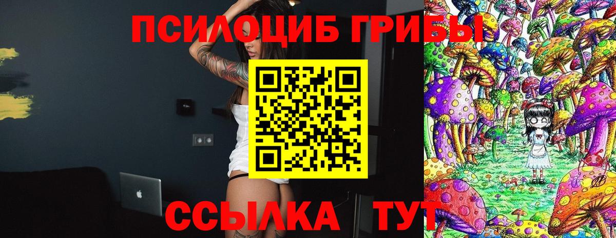 Галлюциногенные грибы прущие грибы  где продают наркотики  Ялуторовск  Вход с VPN  Галлюциногенные грибы ЛСД 